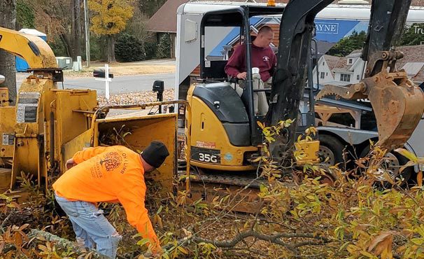 Out on a Limb Tree Service | our employees